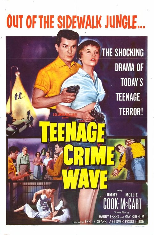 Обложка (Постер) Teen-Age Crime Wave (1955) SATRip Обложка (Постер) Teen-Age Crime Wave (1955) SATRip