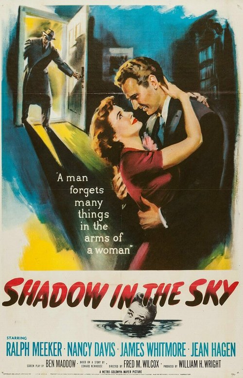Обложка (Постер) Тень в небесах / Shadow in the Sky (1952) SATRip Обложка (Постер) Тень в небесах / Shadow in the Sky (1952) SATRip