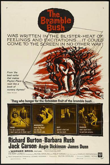 Обложка (Постер) Терновый куст / The Bramble Bush (1960) SATRip Обложка (Постер) Терновый куст / The Bramble Bush (1960) SATRip