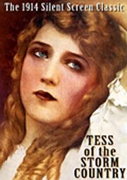 Обложка (Постер) Тэсс из Страны бурь / Tess of the Storm Country (1914) SATRip