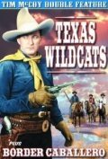 Обложка (Постер) Texas Wildcats (1939) SATRip Обложка (Постер) Texas Wildcats (1939) SATRip