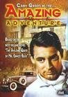 Обложка (Постер) The Amazing Adventure (1917) SATRip