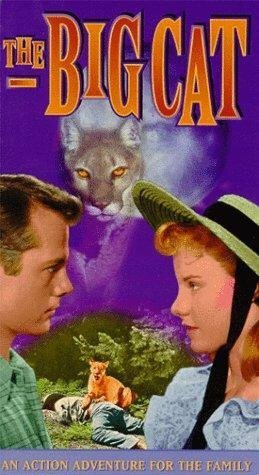 Обложка (Постер) The Big Cat (1949) SATRip Обложка (Постер) The Big Cat (1949) SATRip