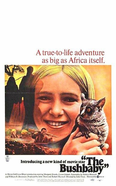 Обложка (Постер) The Bushbaby (1969) SATRip