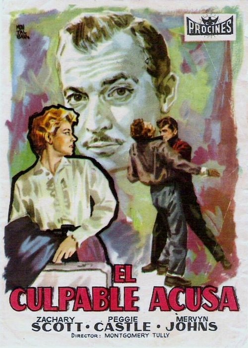 Обложка (Постер) The Counterfeit Plan (1957) SATRip Обложка (Постер) The Counterfeit Plan (1957) SATRip