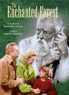 Обложка (Постер) The Enchanted Forest (1945) SATRip Обложка (Постер) The Enchanted Forest (1945) SATRip