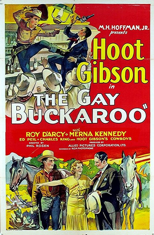 Обложка (Постер) The Gay Buckaroo (1931) SATRip