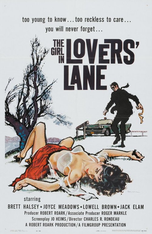 Обложка (Постер) The Girl in Lovers Lane (1960) SATRip Обложка (Постер) The Girl in Lovers Lane (1960) SATRip