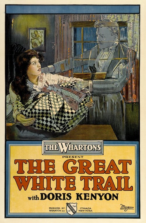 Обложка (Постер) The Great White Trail (1917) SATRip