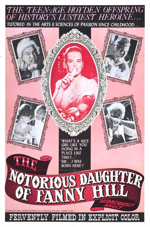 Обложка (Постер) The Notorious Daughter of Fanny Hill (1966) SATRip Обложка (Постер) The Notorious Daughter of Fanny Hill (1966) SATRip