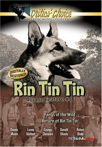 Обложка (Постер) The Return of Rin Tin Tin (1947) SATRip
