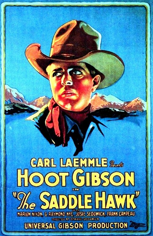 Обложка (Постер) The Saddle Hawk (1925) SATRip