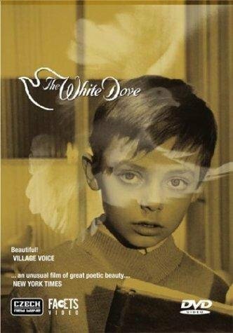 Обложка (Постер) The White Dove (1920) SATRip