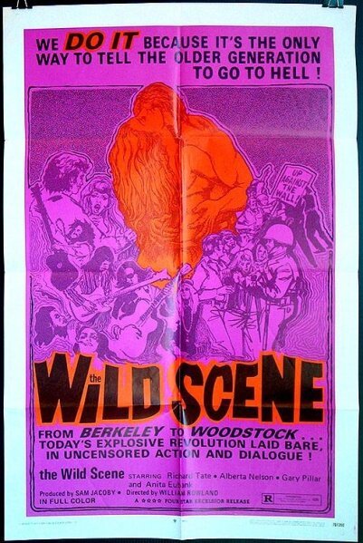 Обложка (Постер) The Wild Scene (1970) SATRip
