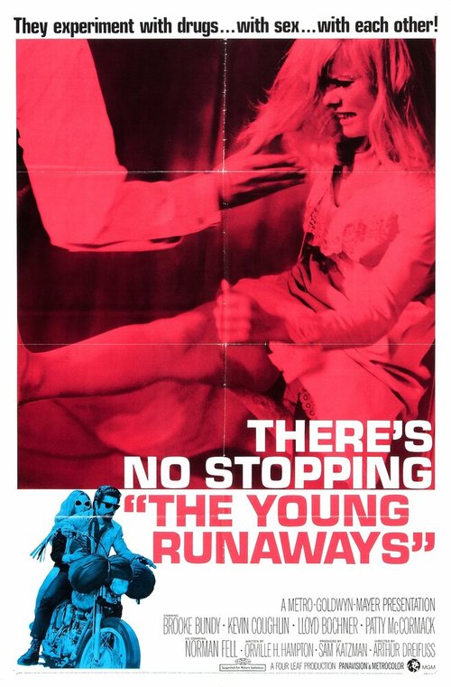 Обложка (Постер) The Young Runaways (1968) SATRip Обложка (Постер) The Young Runaways (1968) SATRip
