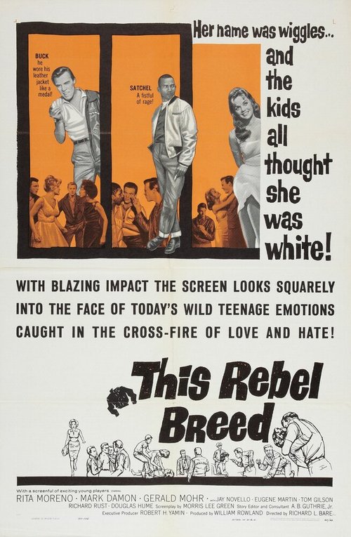Обложка (Постер) This Rebel Breed (1960) SATRip Обложка (Постер) This Rebel Breed (1960) SATRip