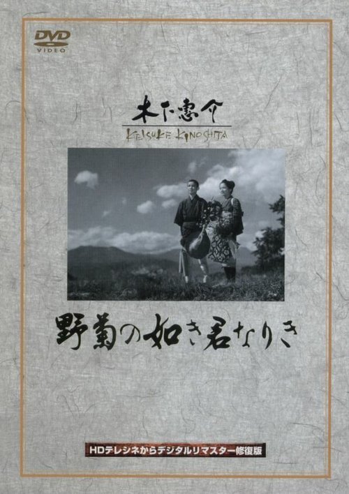 Обложка (Постер) Ты была подобна дикой хризантеме / Nogiku no gotoki kimi nariki (1955) SATRip Обложка (Постер) Ты была подобна дикой хризантеме / Nogiku no gotoki kimi nariki (1955) SATRip
