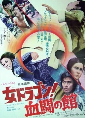 Обложка (Постер) Тигрица / Shuang mian nu sha xing (1973) SATRip Обложка (Постер) Тигрица / Shuang mian nu sha xing (1973) SATRip