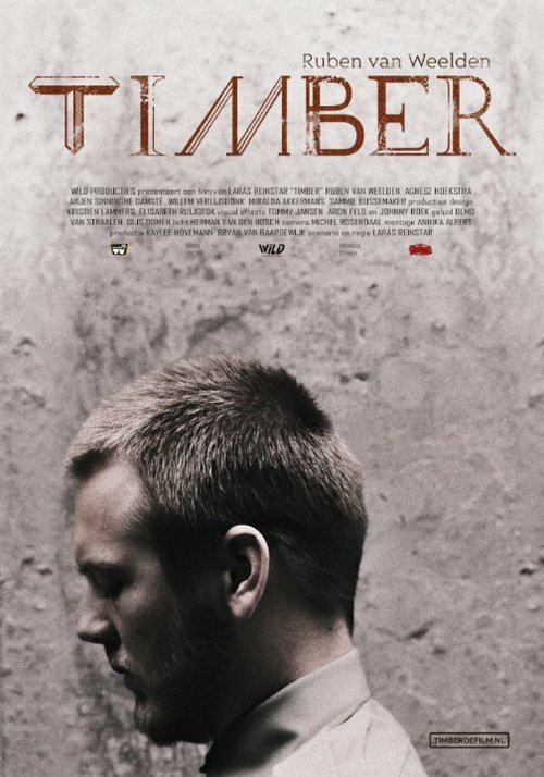 Обложка (Постер) Timber Обложка (Постер) Timber