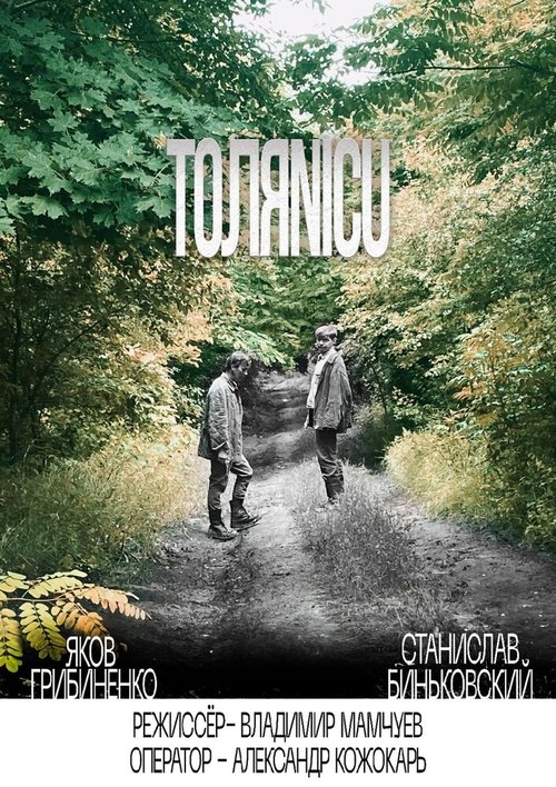 Обложка (Постер) ТОЛЯNICU / TOLYANICU (2021) HDRip Обложка (Постер) ТОЛЯNICU / TOLYANICU (2021) HDRip