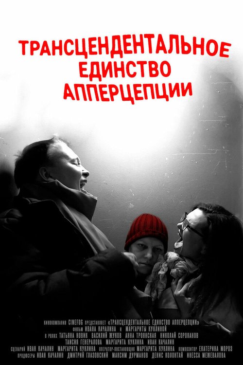 Обложка (Постер) Трансцендентальное единство апперцепции / Transcendental Unity of Apperception (2021) HDRip Обложка (Постер) Трансцендентальное единство апперцепции / Transcendental Unity of Apperception (2021) HDRip