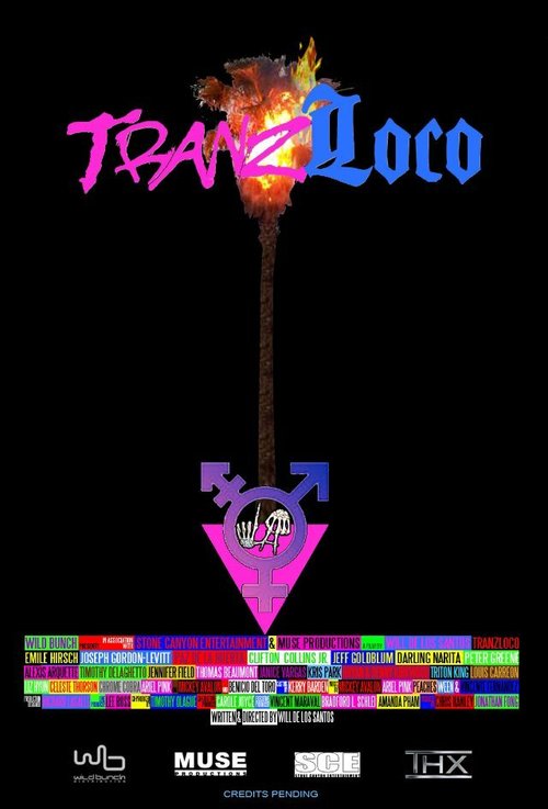 Обложка (Постер) Tranzloco  