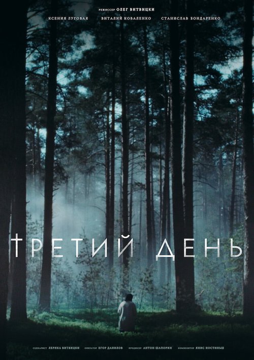 Обложка (Постер) Третий день (2021) HDRip Обложка (Постер) Третий день (2021) HDRip
