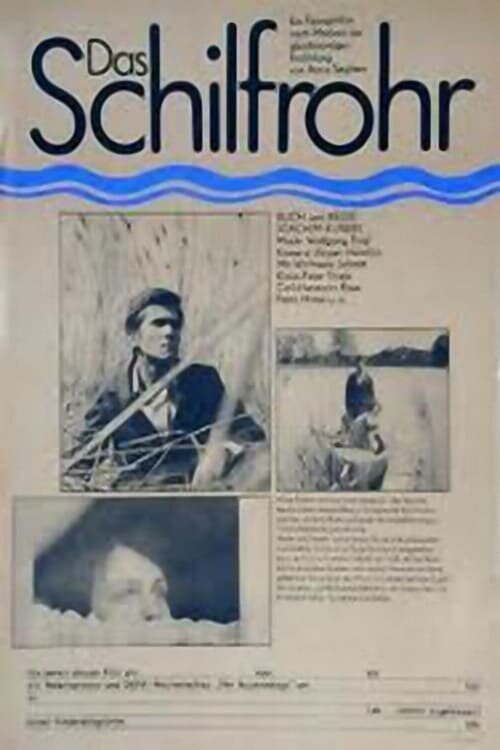 Обложка (Постер) Тростник / Das Schilfrohr (1974) SATRip Обложка (Постер) Тростник / Das Schilfrohr (1974) SATRip