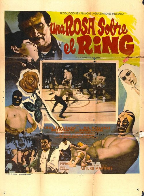 Обложка (Постер) Una rosa sobre el ring (1973) SATRip Обложка (Постер) Una rosa sobre el ring (1973) SATRip