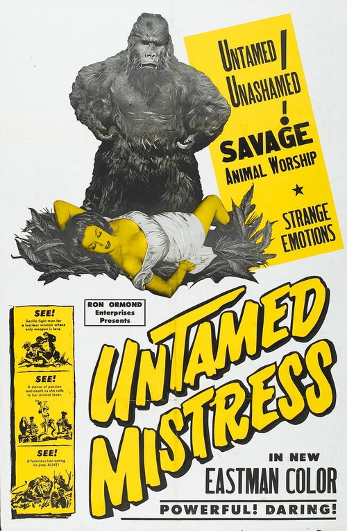 Обложка (Постер) Untamed Mistress (1956) SATRip Обложка (Постер) Untamed Mistress (1956) SATRip