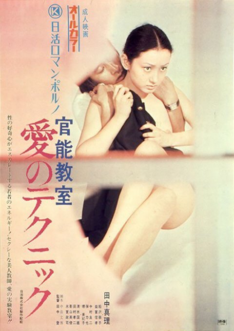 Обложка (Постер) Уроки чувственности / Kanno kyoshitsu: ai no tekunikku (1972) SATRip