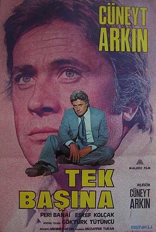 Обложка (Постер) В одиночку / Tek Başına (1976) 