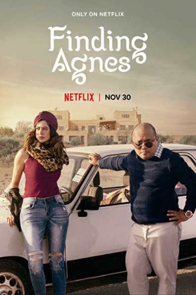 Обложка (Постер) В поисках Агнес / Finding Agnes (2020) HDRip Обложка (Постер) В поисках Агнес / Finding Agnes (2020) HDRip