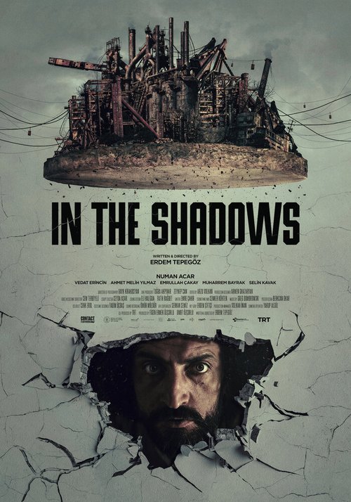 Обложка (Постер) В тени / In the Shadows (2020) HDRip Обложка (Постер) В тени / In the Shadows (2020) HDRip