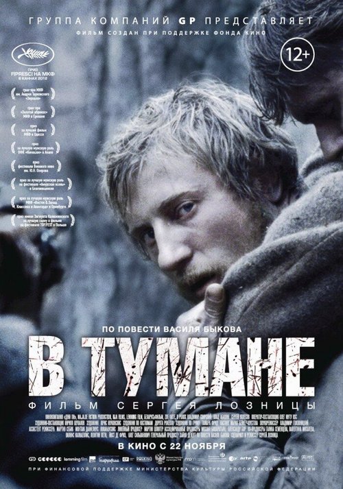 Обложка В тумане (2012) 