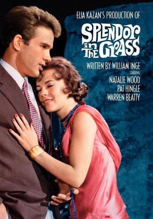 Обложка (Постер) Великолепие в траве / Splendor in the Grass (1961) SATRip Обложка (Постер) Великолепие в траве / Splendor in the Grass (1961) SATRip