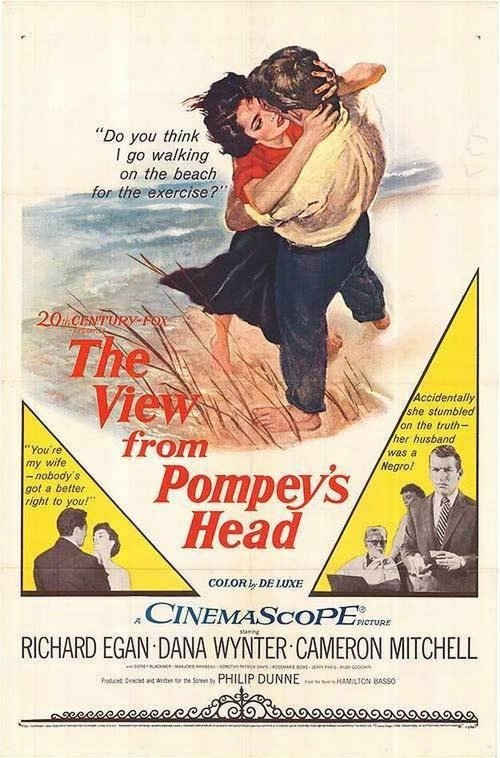 Обложка (Постер) Вид с Головы Помпея / The View from Pompey's Head (1955) SATRip Обложка (Постер) Вид с Головы Помпея / The View from Pompey's Head (1955) SATRip