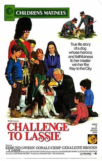 Обложка (Постер) Вызов Лесси / Challenge to Lassie (1949) SATRip Обложка (Постер) Вызов Лесси / Challenge to Lassie (1949) SATRip