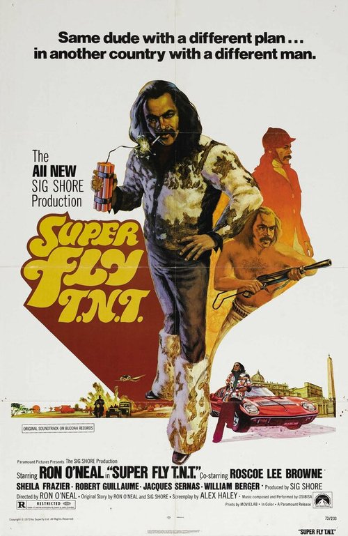Обложка (Постер) Возвращение Суперфлая / Super Fly T.N.T. (1973) SATRip Обложка (Постер) Возвращение Суперфлая / Super Fly T.N.T. (1973) SATRip