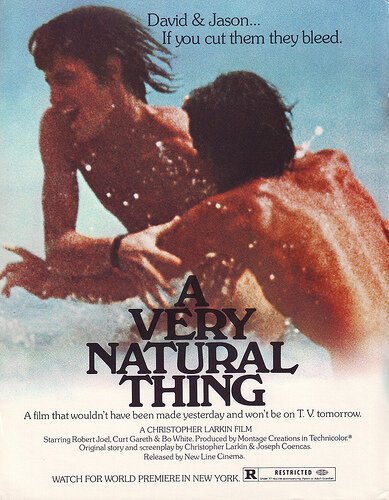 Обложка (Постер) Вполне естественно / A Very Natural Thing (1974) SATRip Обложка (Постер) Вполне естественно / A Very Natural Thing (1974) SATRip