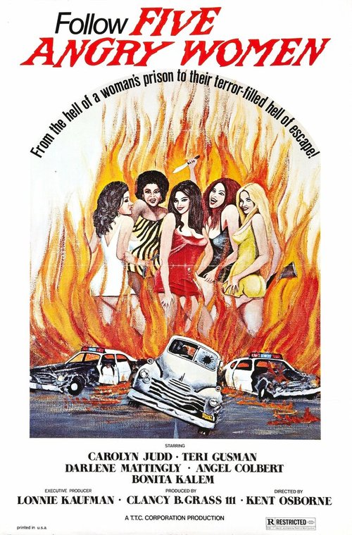 Обложка (Постер) Women Unchained (1974) SATRip Обложка (Постер) Women Unchained (1974) SATRip