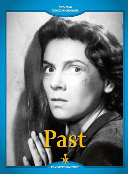 Обложка (Постер) Западня / Past (1950) SATRip Обложка (Постер) Западня / Past (1950) SATRip