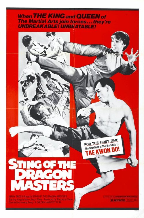 Обложка (Постер) Жало мастера-дракона / Tai quan zhen jiu zhou (1973) SATRip