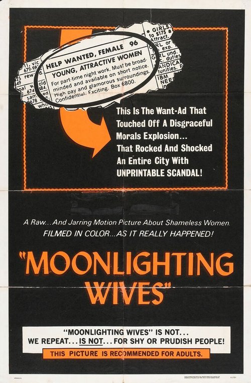 Обложка (Постер) Жены на подработке / Moonlighting Wives (1966) SATRip Обложка (Постер) Жены на подработке / Moonlighting Wives (1966) SATRip