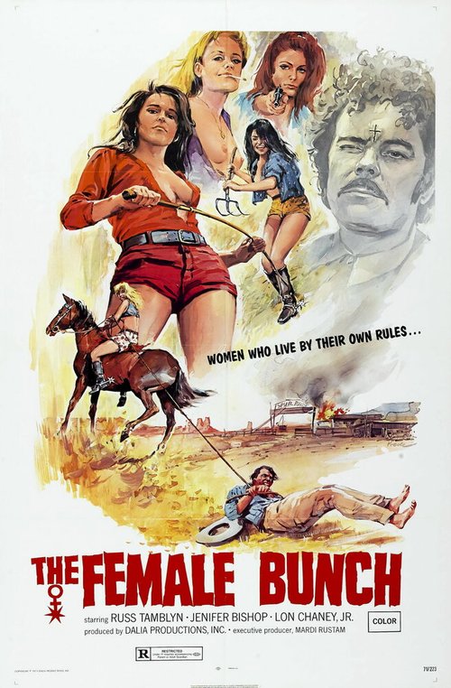 Обложка (Постер) Женская компания / The Female Bunch (1971) SATRip Обложка (Постер) Женская компания / The Female Bunch (1971) SATRip