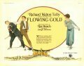 Обложка (Постер) Жидкое золото / Flowing Gold (1924) SATRip