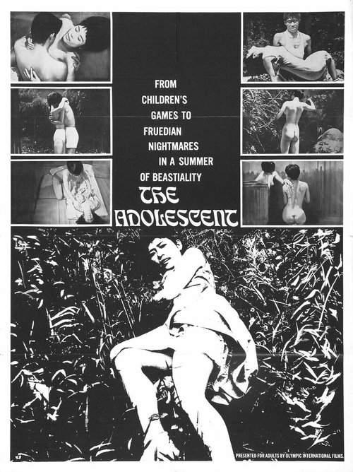 Обложка (Постер) Зрелость / The Adolescent (1967) SATRip Обложка (Постер) Зрелость / The Adolescent (1967) SATRip