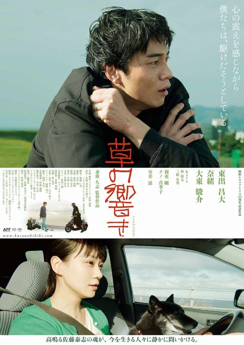 Обложка (Постер) Звук травы / Kusa no hibiki (2021) HDRip Обложка (Постер) Звук травы / Kusa no hibiki (2021) HDRip