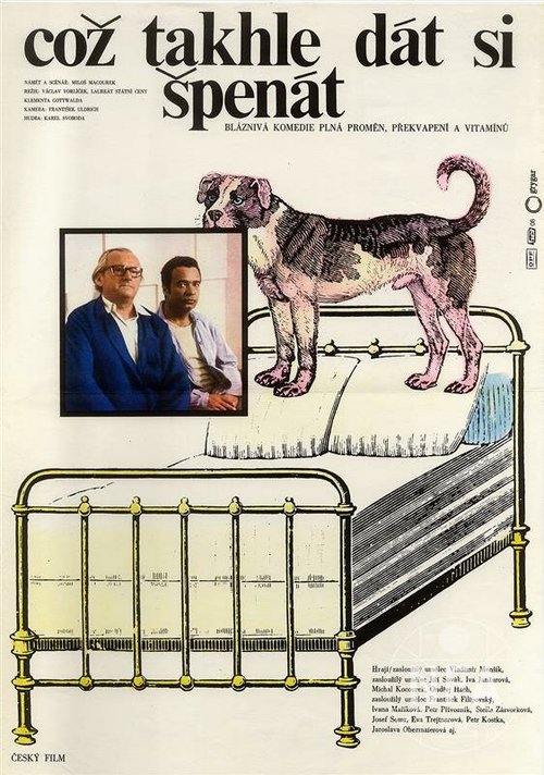 Обложка (Постер) А что, если поесть шпината? / Coz takhle dát si spenát (1977) SATRip Обложка (Постер) А что, если поесть шпината? / Coz takhle dát si spenát (1977) SATRip
