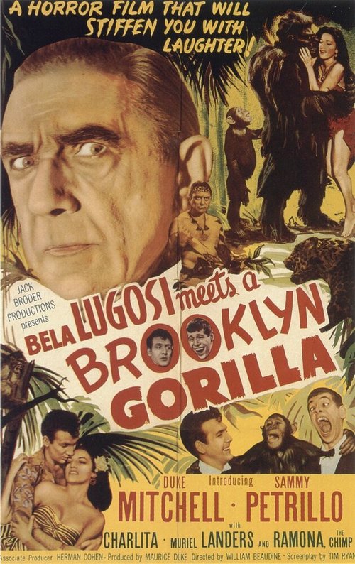 Обложка (Постер) Бела Лугоши знакомится с бруклинской гориллой / Bela Lugosi Meets a Brooklyn Gorilla (1952) SATRip